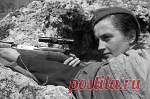 Война Людмилы Павличенко. Как студентка истфака убила 309 фашистов | История | Общество | Аргументы и Факты