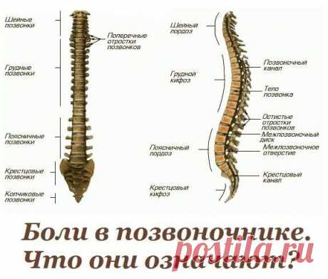 (3) Мой Мир@Mail.Ru