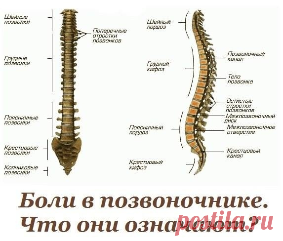 (3) Мой Мир@Mail.Ru