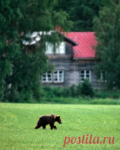 i (1080×1350)