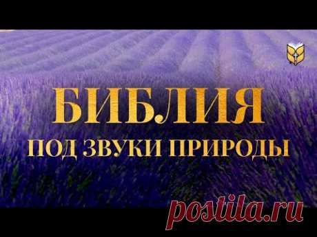 Библия под звуки природы. Современный перевод Библии #biblevision