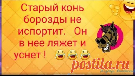 Старый конь борозды не портит , но ...    Юморнем?