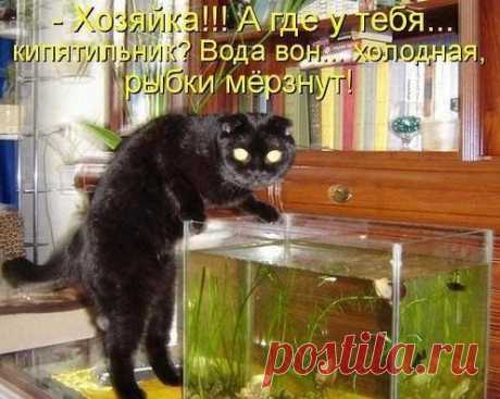 Мой Мир@Mail.Ru