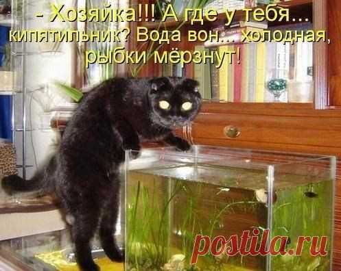 Мой Мир@Mail.Ru