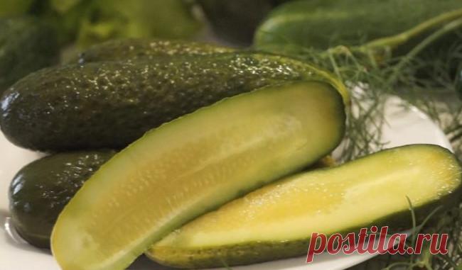 Малосольные огурцы как у бабушки... Такие огурчики вам обязательно понравятся, обещаю! Сохраните себе рецепт! Малосольные огурчики как у бабули

Ингредиенты: - 1 кг огурцов - 3-4 зубчика чеснока - небольшой пучок укропа - соль по вкусу - 3 столовые ложки сахара - черный перец по вкусу

Приготовление: 1. Огурцы хорошо промыть, отрезать попки. 2. Сложить в кастрюлю, добавить