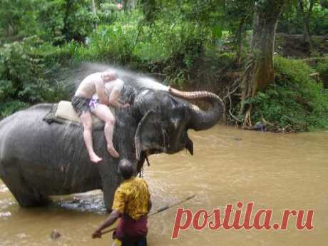having-an-elephant-shower.jpg (550×412)