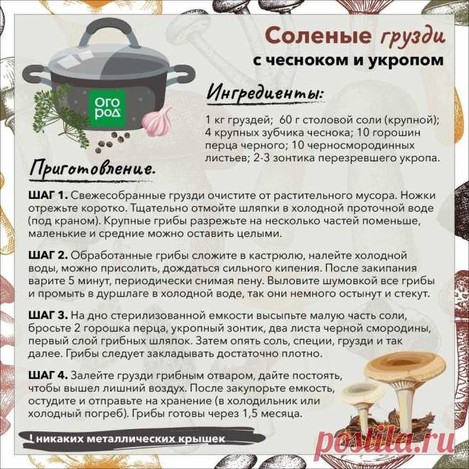 Соленые грузди с чесноком и укропом
