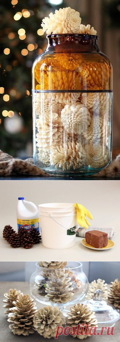 Как отбелить сосновые шишки