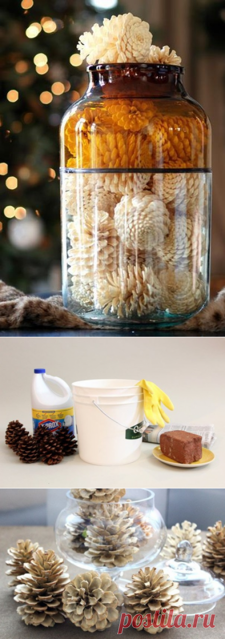 Как отбелить сосновые шишки