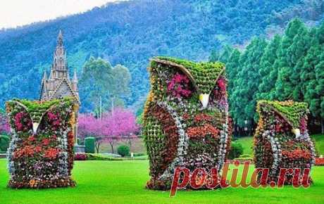 Ольга Миронова – Google+