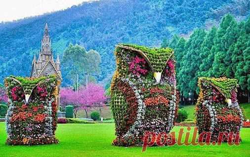 Ольга Миронова – Google+