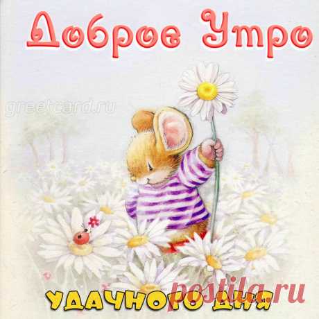 Доброго утра хочу пожелать я,
Пусть исполняются все мечты,
С добротой и улыбкой день начинается
И друзья помогают в пути!
