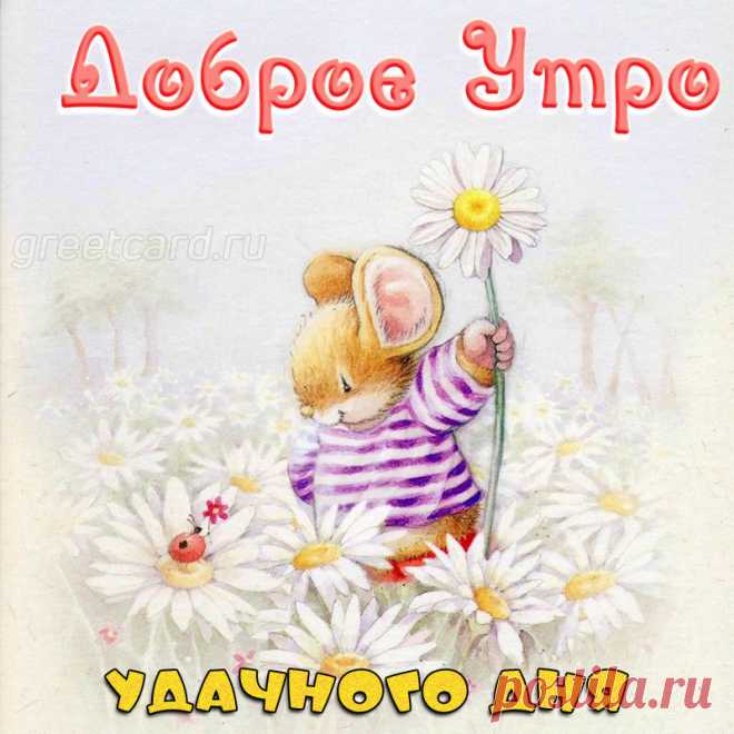 Доброго утра хочу пожелать я,
Пусть исполняются все мечты,
С добротой и улыбкой день начинается
И друзья помогают в пути!