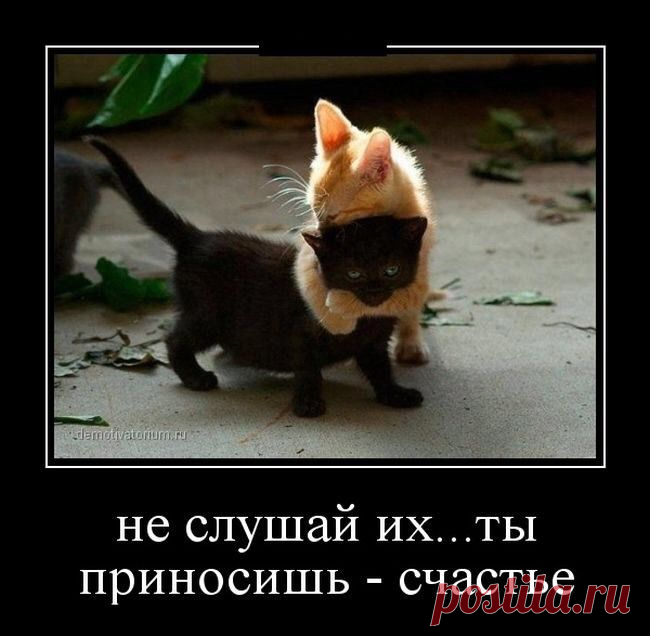 Не слушай их... ты приносишь счастье!