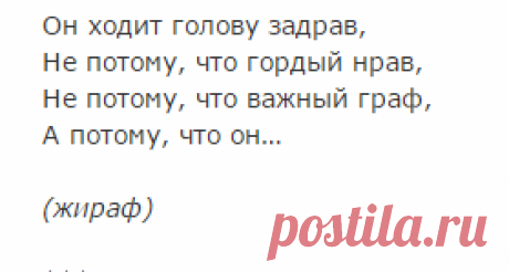 Детские загадки о диких животных с ответами / Детские загадки для детей, с ответами / Ёжка - стихи, загадки, творчество и уроки рисования для детей