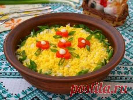 Праздничные салаты, рецепты с фото. Вкусные и простые рецепты салатов на праздничный стол.