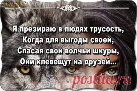 Трусость - это порок Сочинение - Журнал полезных советов
