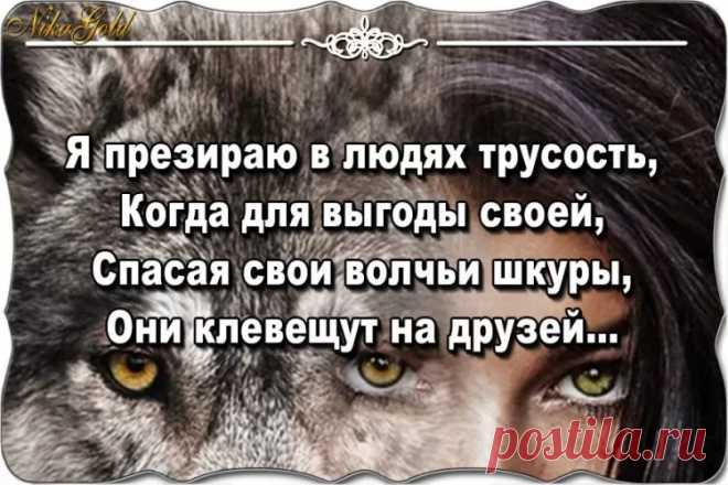 Трусость - это порок Сочинение - Журнал полезных советов