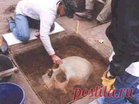 ЕГИПТЯНЕ ПИРАМИД НЕ СТРОИЛИ! | Golbis