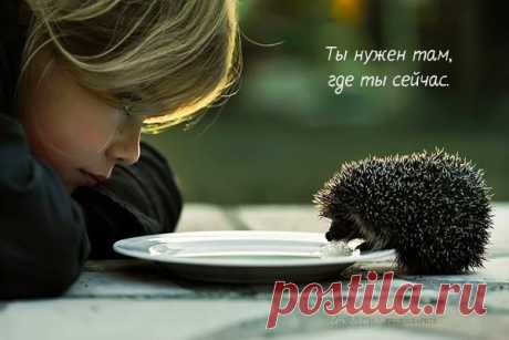 Ирина Вальдман - Фотографии Хроники