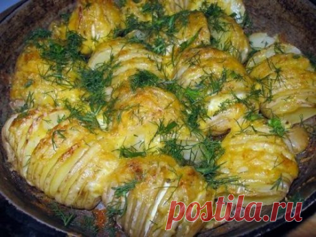 Картофель, запеченный с сыром. Красиво и вкусно.