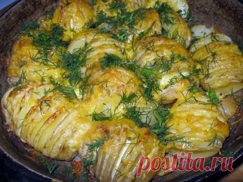 Картофель, запеченный с сыром. Красиво и вкусно.