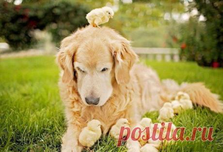 Мой Мир@Mail.Ru