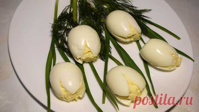 Такая вкуснейшая закуска как фаршированные яйца в виде белых тюльпанов, украсит любой праздничный стол да и просто подать такую закуску на завтрак, обед, ужин или на пикник, придаст всем сидящим за столом весеннее настроение в любое время года. Приятного аппетита!  
Ингредиенты:
Яйца-5шт.
Сыр плавленый-1шт. (90гр.)
Майонез-1ст.л.
Чеснок-1зуб.
Соль по вкусу
Чеснок молодой или лук-3веточки (для украшения)
Укроп-2веточки (для украшения)