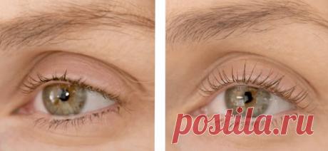 Масло-сыворотка для роста бровей и ресниц. Рецепт. | Косметика Craft Cosmetics | Яндекс Дзен