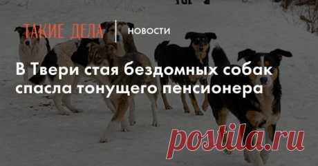 Анастасия-Александровна Разумовская-Волкова