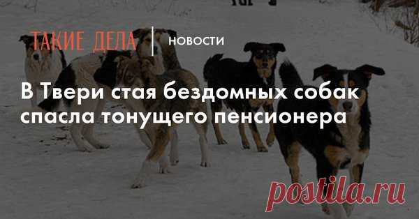 Анастасия-Александровна Разумовская-Волкова