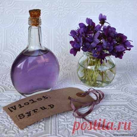 Фиолетовый сироп из цветков фиалки