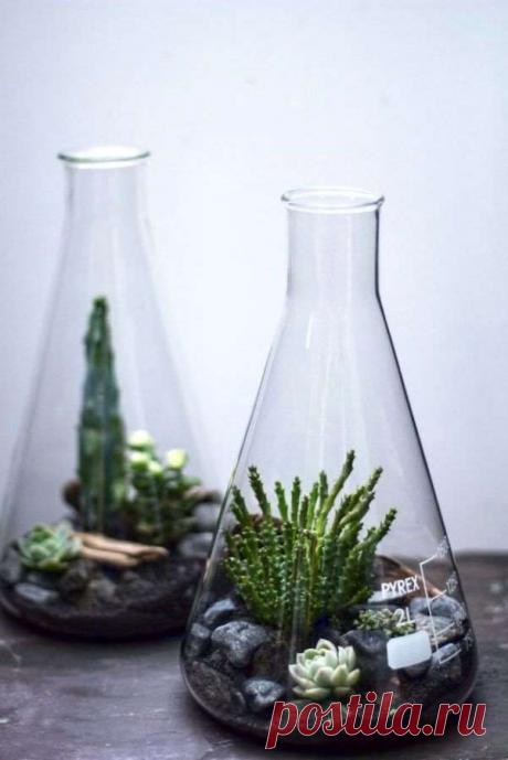 Как сделать флорариум своими руками | Люблю Себя