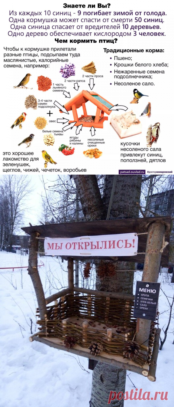 (25) Одноклассники
