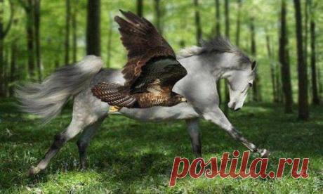 (45) Одноклассники