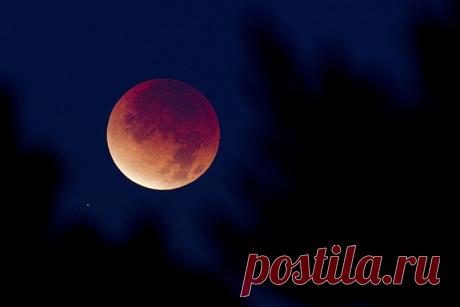Павел Глоба: «Последствия этого лунного затмения могут продлиться 18 лет» Вечером 27 июля мы увидим полное затмение Луны. Оно будет самым долгим в XXI веке. Небесное шоу продлится почти 4 часа. А полная фаза составит 1 час 43 минуты (это с 22:30 до 00:13 по московскому врем…