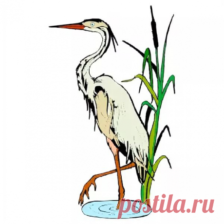 рисунки птиц карандашом цапли: 14 тыс изображений найдено в Яндекс.Картинках