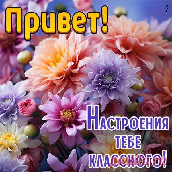 Привет! Настроения тебе классного!