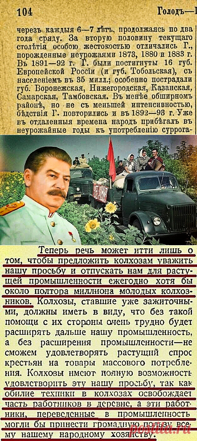 Миф о том, что Сталин не платил колхозникам зарплату, пенсию и держал их за рабов. | RUSLOVO.RU | Яндекс Дзен