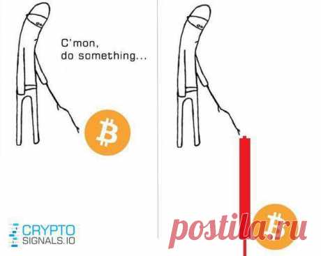 Минутка юмора от Crypto Signals

https://cryptosignals.io/