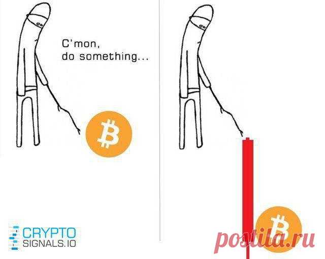Минутка юмора от Crypto Signals

https://cryptosignals.io/