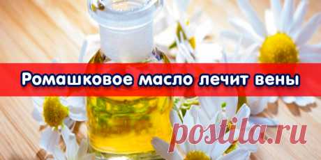 Ромашковое масло лечит вены | Полезные советы
