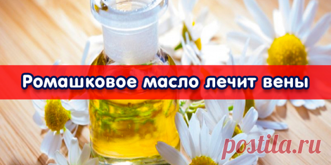 Ромашковое масло лечит вены | Полезные советы