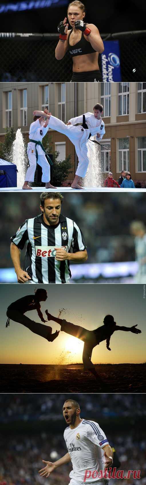 Регбол, Боулспорт, Танцевальный спорт, Ойна. (1/1) - Спортивный форум. - Спортивный сайт