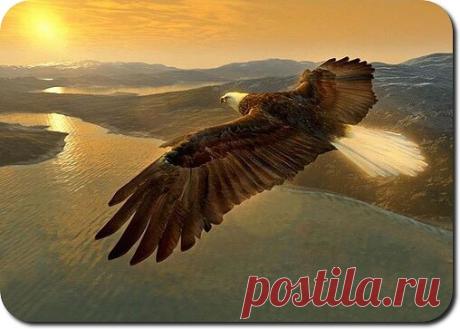 i (508×363)