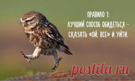 Пост совиной мудрости)))