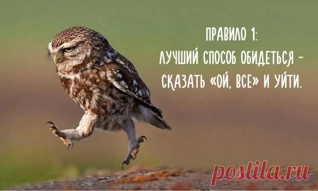 Пост совиной мудрости)))