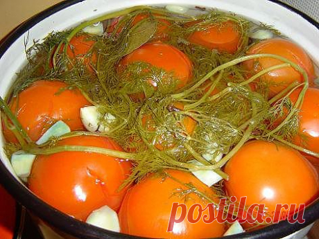 Мои старые испоробованные рецепты. Соленые красные помидоры..