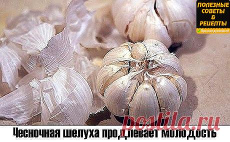 (46) Одноклассники Чесночная шелуха продлевает молодость.