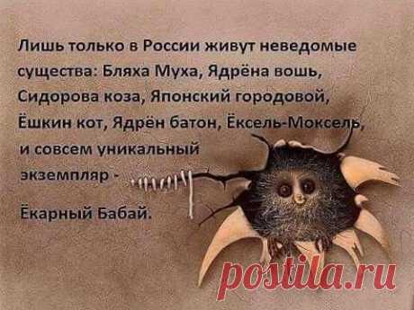 (1) Facebook
